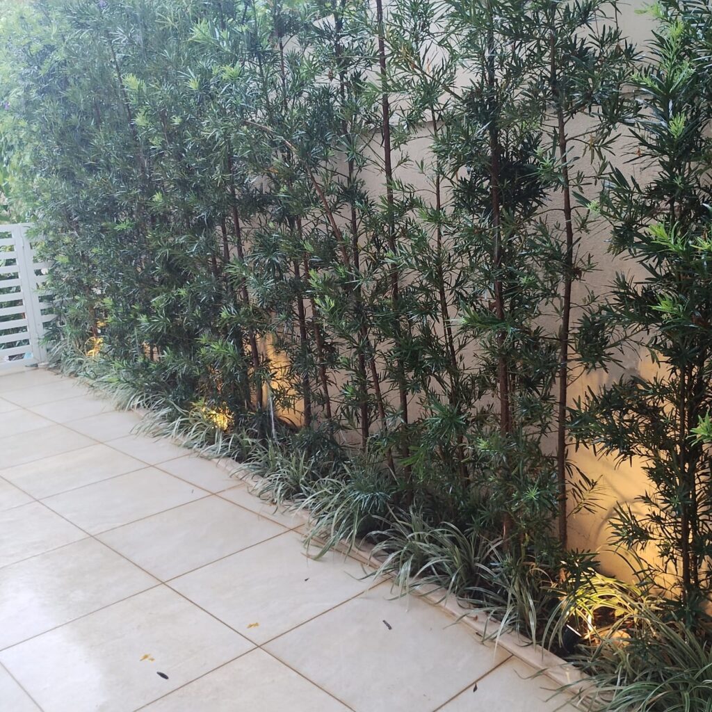 Instalação de spots em jardim